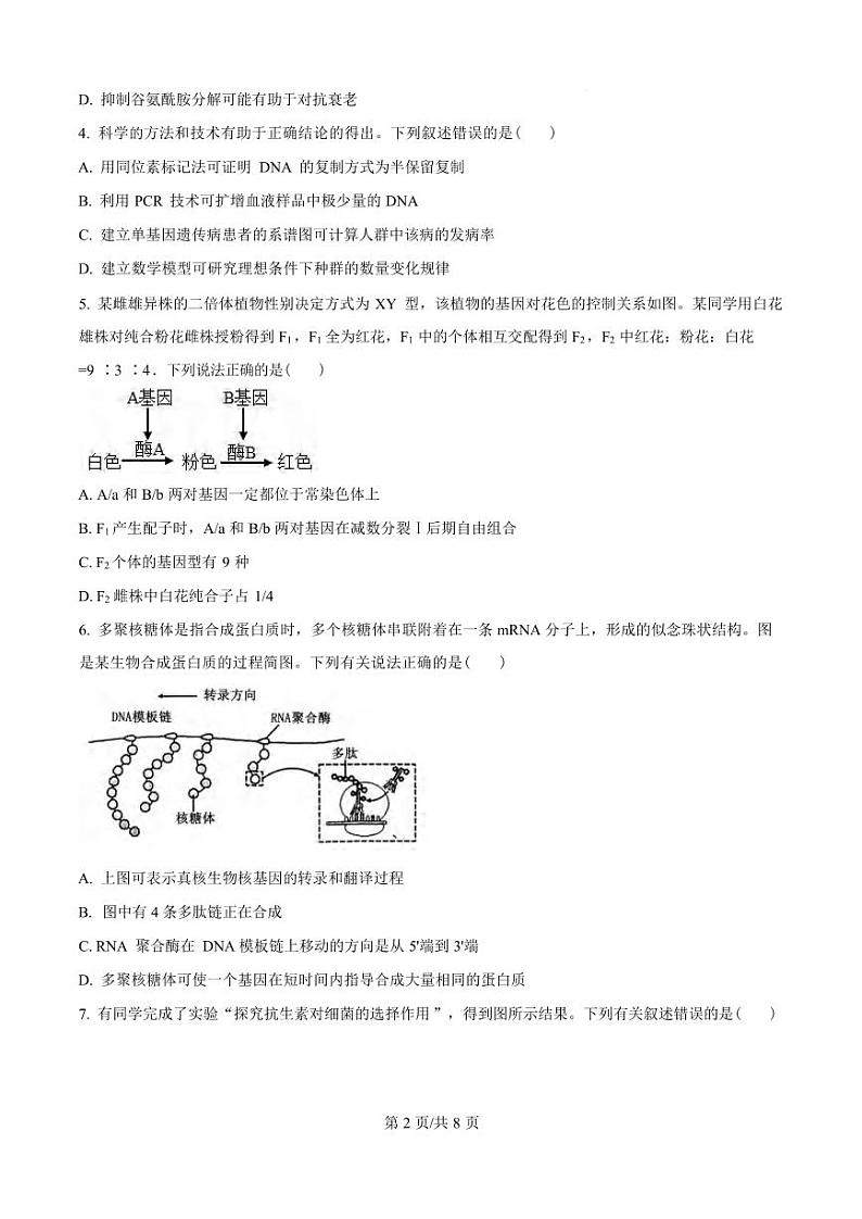 生物丨云南师范大学附属中学2025届高三10月高考适应性月考卷(四)生物试卷及答案第2页