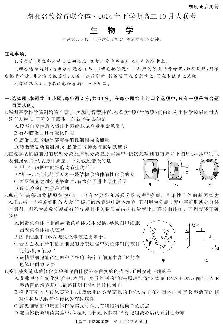 湖湘名校教育联合体2024年下学期高二10月大联考试卷生物（含答案）