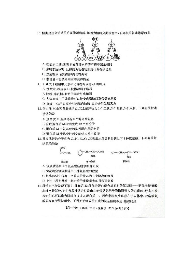 山西省运城市2024-2025学年高一上学期10月联合测评生物试卷(PDF版附答案)03