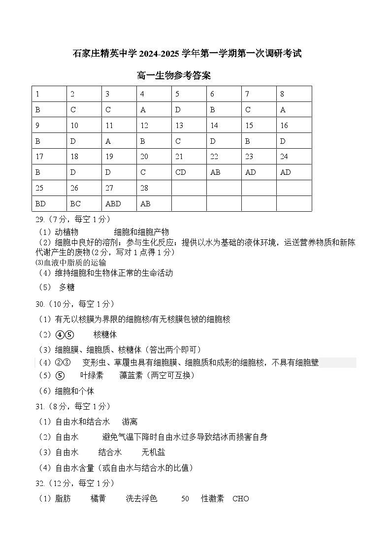 参考答案第1页