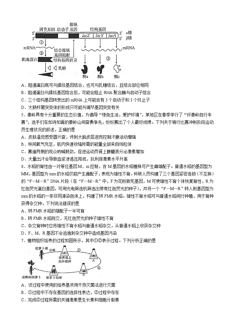 甘肃省白银市靖远县2024-2025学年高三上学期10月联考生物试题第2页