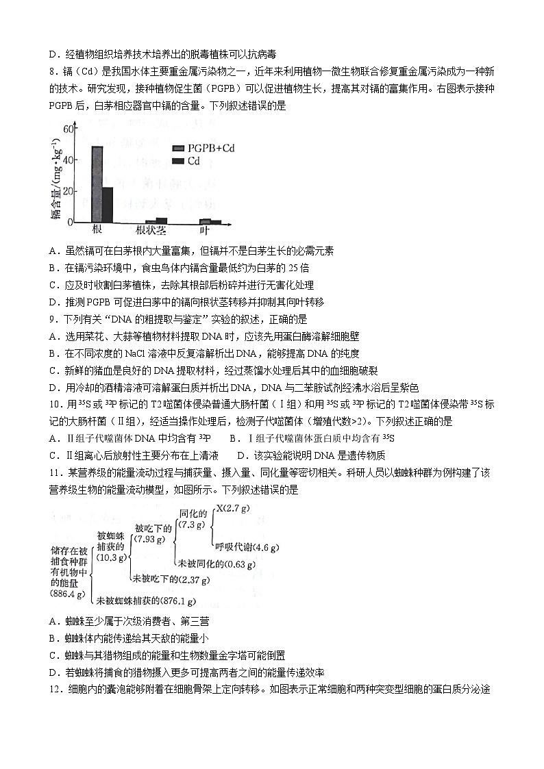 甘肃省白银市靖远县2024-2025学年高三上学期10月联考生物试题第3页