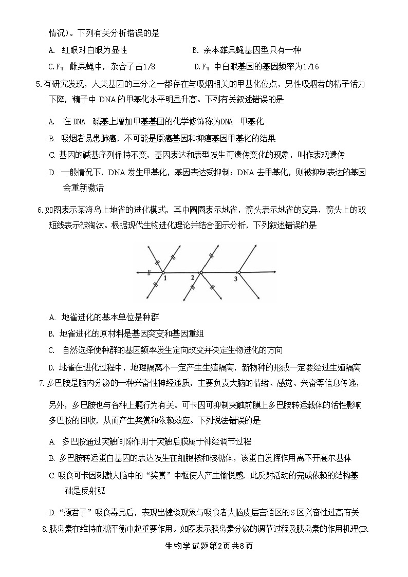 【安徽卷】安徽省2025届江南十校高三第一次综合素质检测(10.5-10.6) 生物试卷第3页