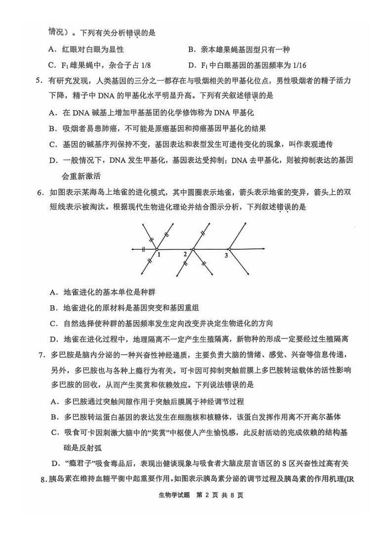 【安徽卷】安徽省2025届江南十校高三第一次综合素质检测(10.5-10.6) 生物试卷第2页
