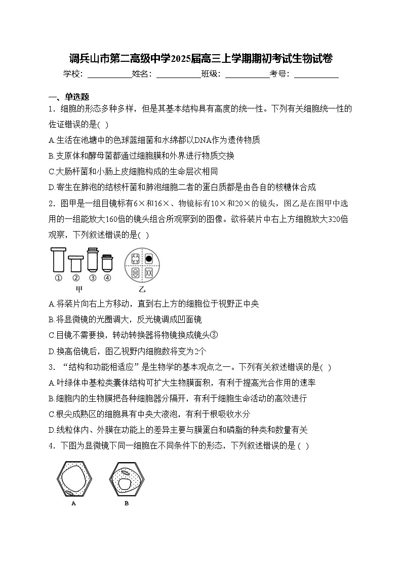 调兵山市第二高级中学2025届高三上学期期初考试生物试卷(含答案)第1页