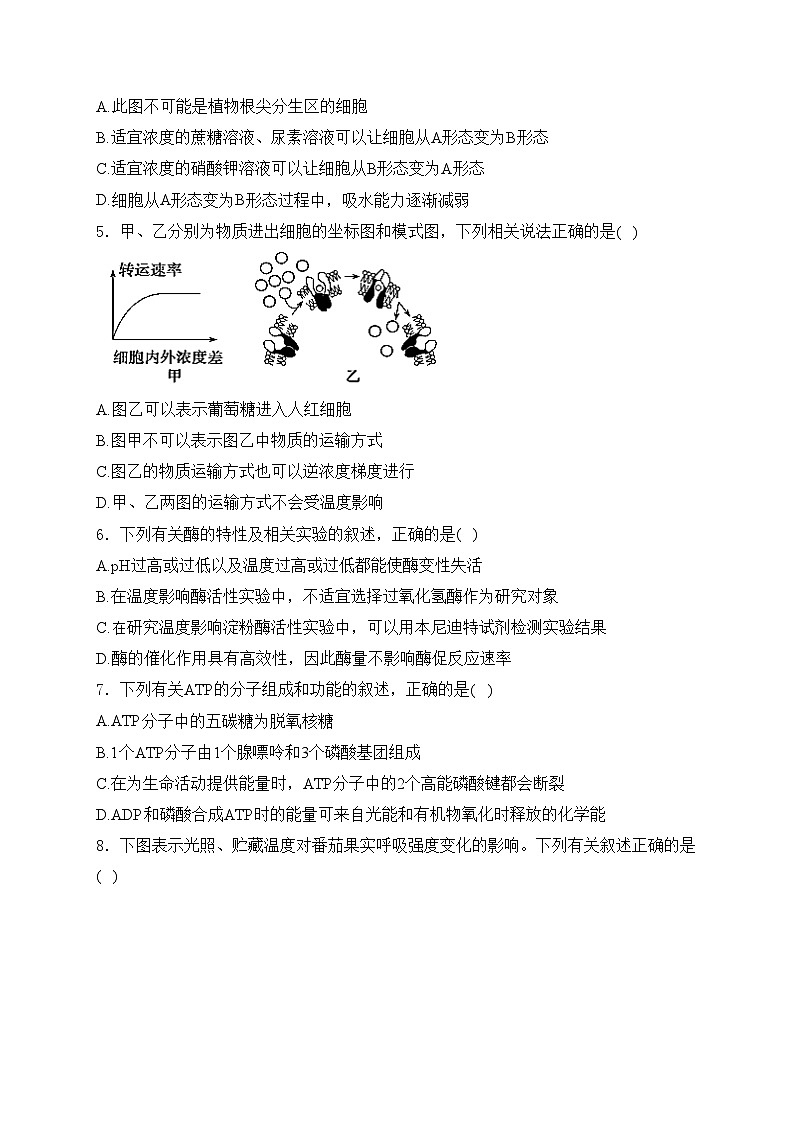 调兵山市第二高级中学2025届高三上学期期初考试生物试卷(含答案)第2页
