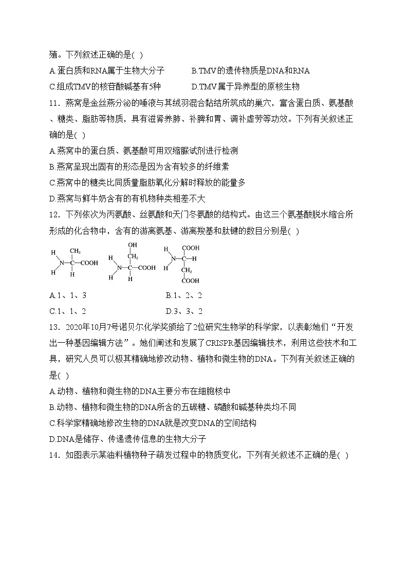 广东省东莞东华高级中学、松山湖高级中学2024-2025学年高一上学期学习效率检测(一)生物试卷(含答案)第3页