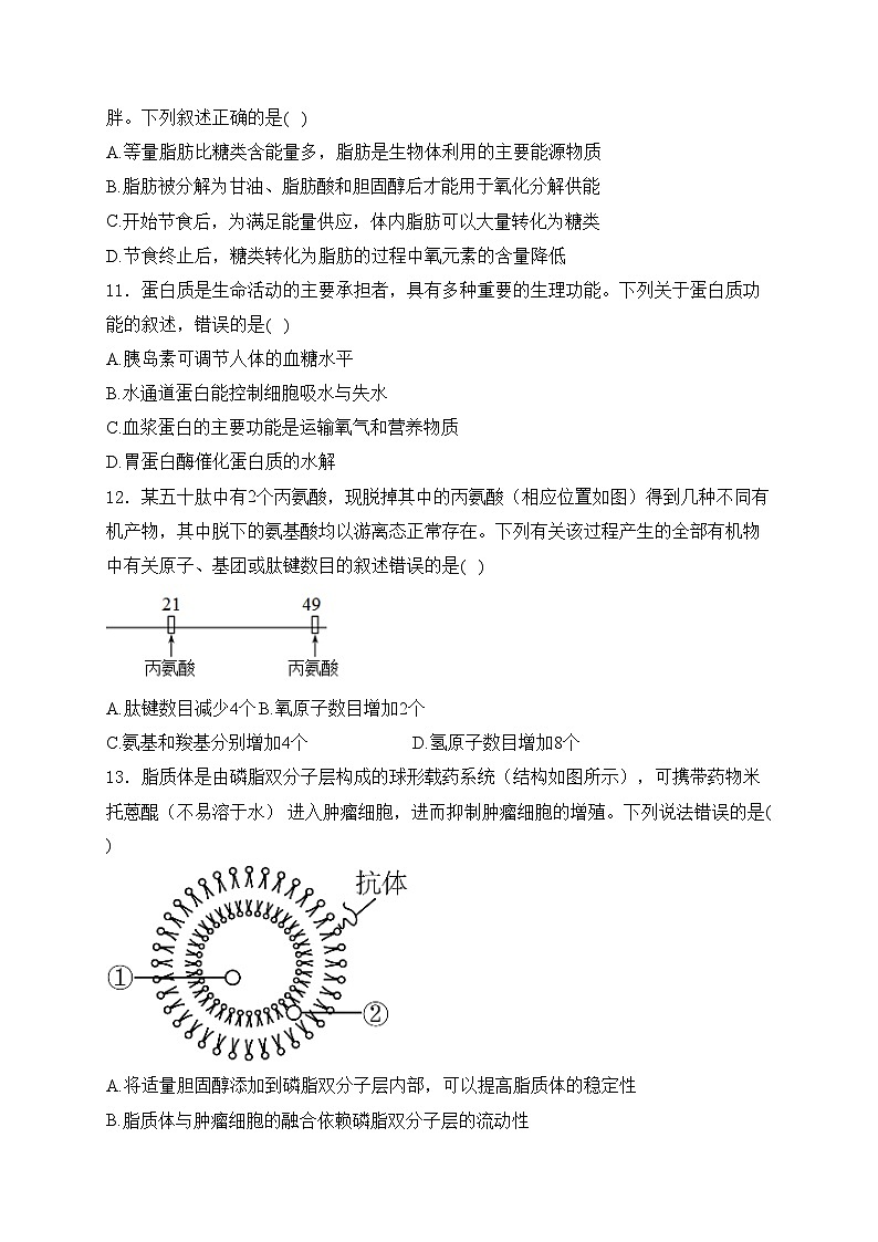 惠民县第一中学2024-2025学年高一上学期10月月考生物试卷(含答案)第3页