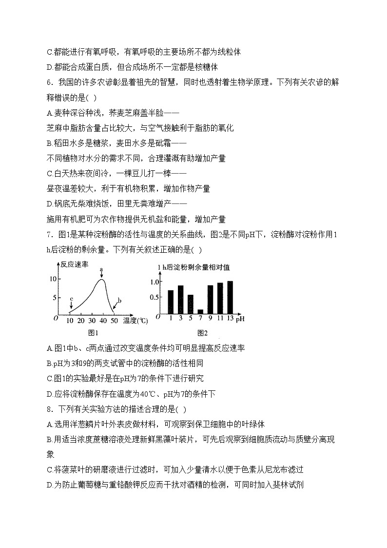 辽宁省大连市滨城高中2025届高三上学期期中考试生物试卷(含答案)第2页
