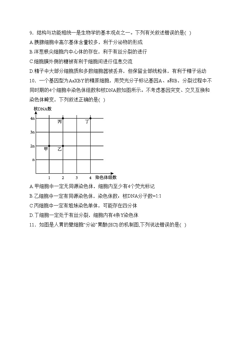 辽宁省大连市滨城高中2025届高三上学期期中考试生物试卷(含答案)第3页