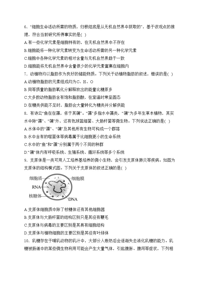 柳州高级中学2024-2025学年高一上学期阶段性检测生物试卷(含答案)第2页