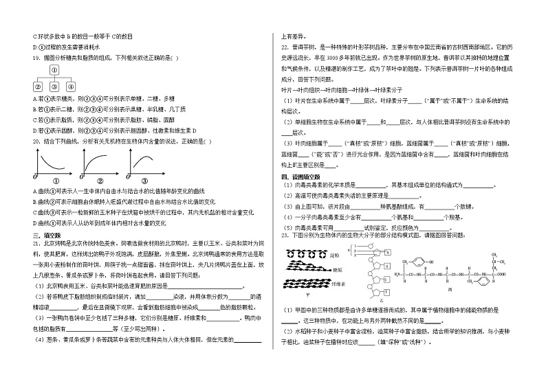 山东省泰安市正德高中2024-2025学年高一上学期10月月考生物试题第3页