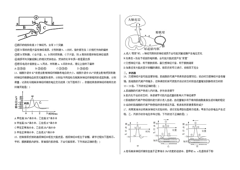 山东省泰安市正德高中2024-2025学年高二上学期10月月考生物试题第3页