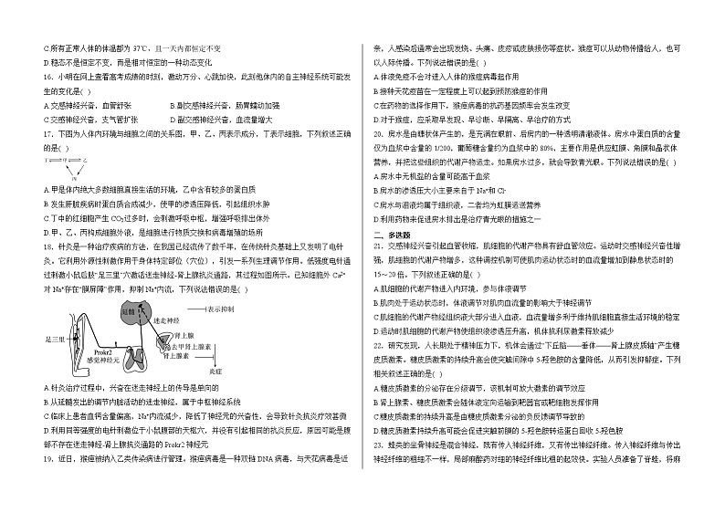 山东省泰安市新泰市弘文中学2024-2025学年高二上学期期中检测生物试题第3页