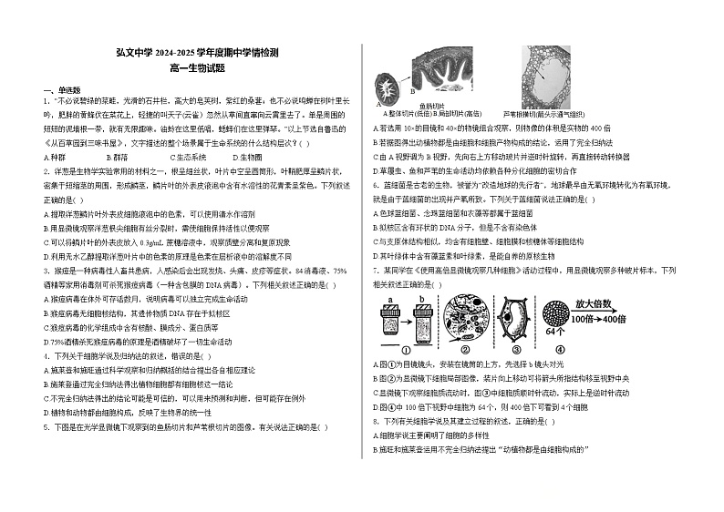 山东省泰安市弘文中学2024-2025学年高一上学期期中检测生物试题第1页