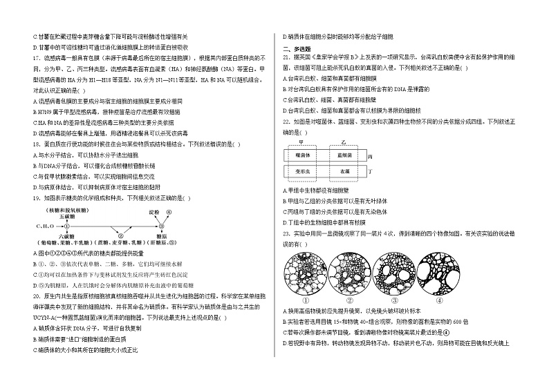 山东省泰安市弘文中学2024-2025学年高一上学期期中检测生物试题第3页