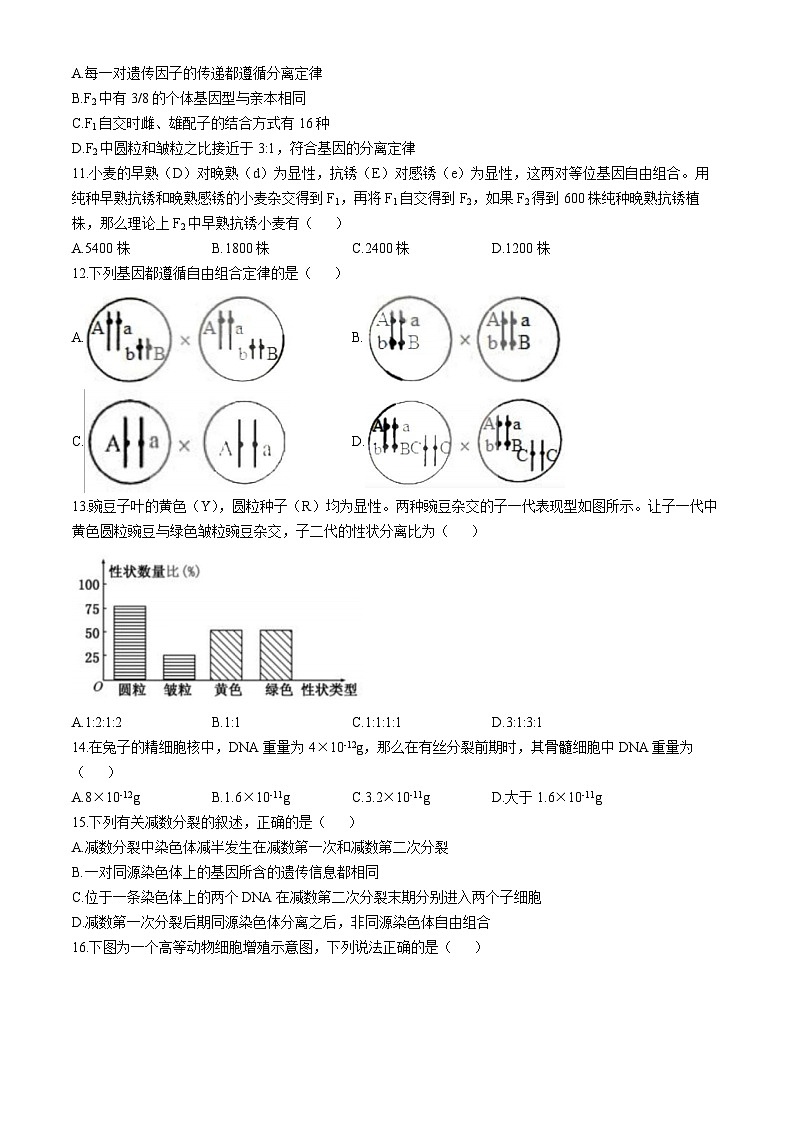 黑龙江省哈尔滨市香坊区德强高级中学2021-2022学年高一下学期期中考试生物试卷02