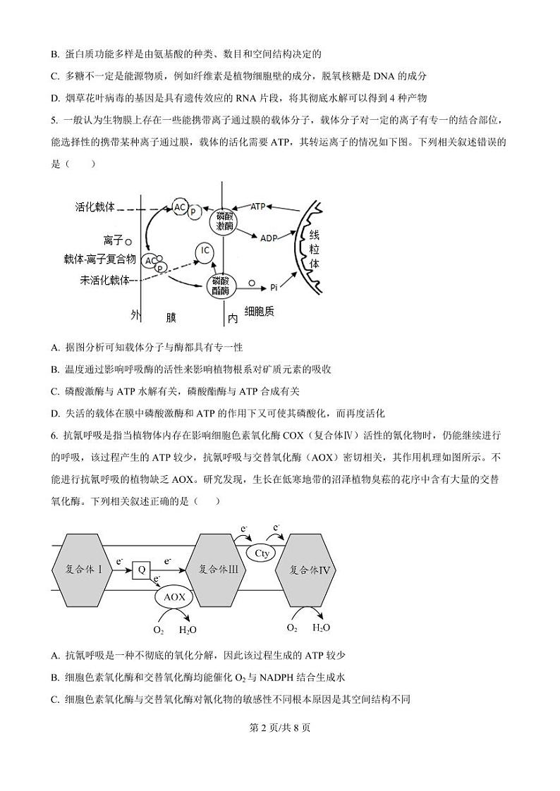 安徽省六安市第二中学2024-2025学年高三上学期10月月考生物第2页
