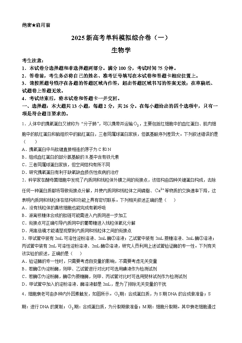 河北省邯郸市部分校2024-2025学年高三上学期月考生物试卷(一)第1页
