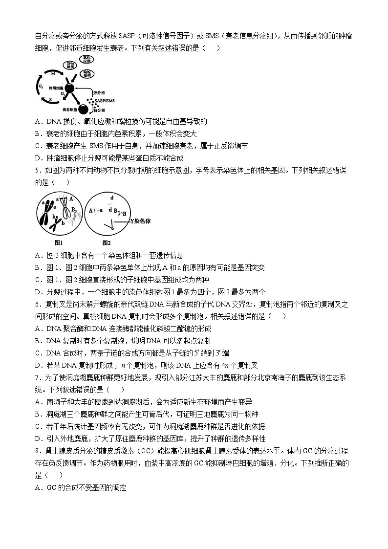 河北省邯郸市部分校2024-2025学年高三上学期月考生物试卷(一)第2页