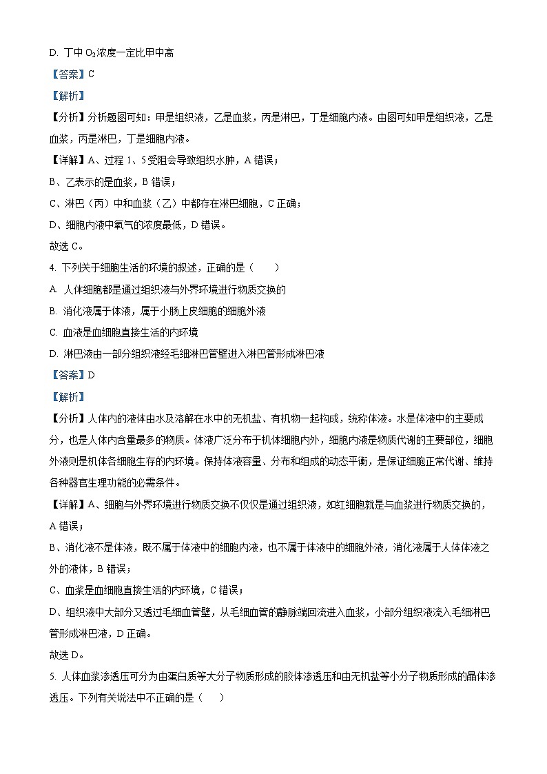 四川省成都市外国语学校2024-2025学年高二上学期第一次月考生物试题 Word版含解析第3页