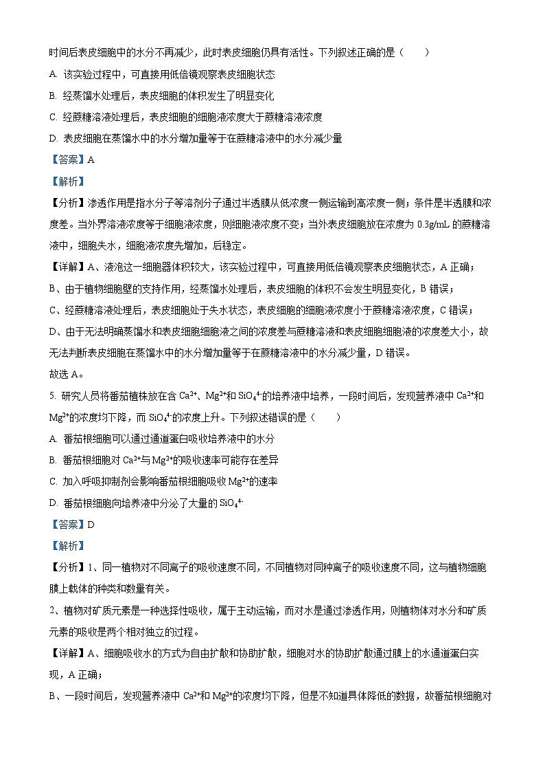 四川省遂宁市遂宁中学2024-2025学年高三上学期一诊模拟考试生物试卷 Word版含解析第3页