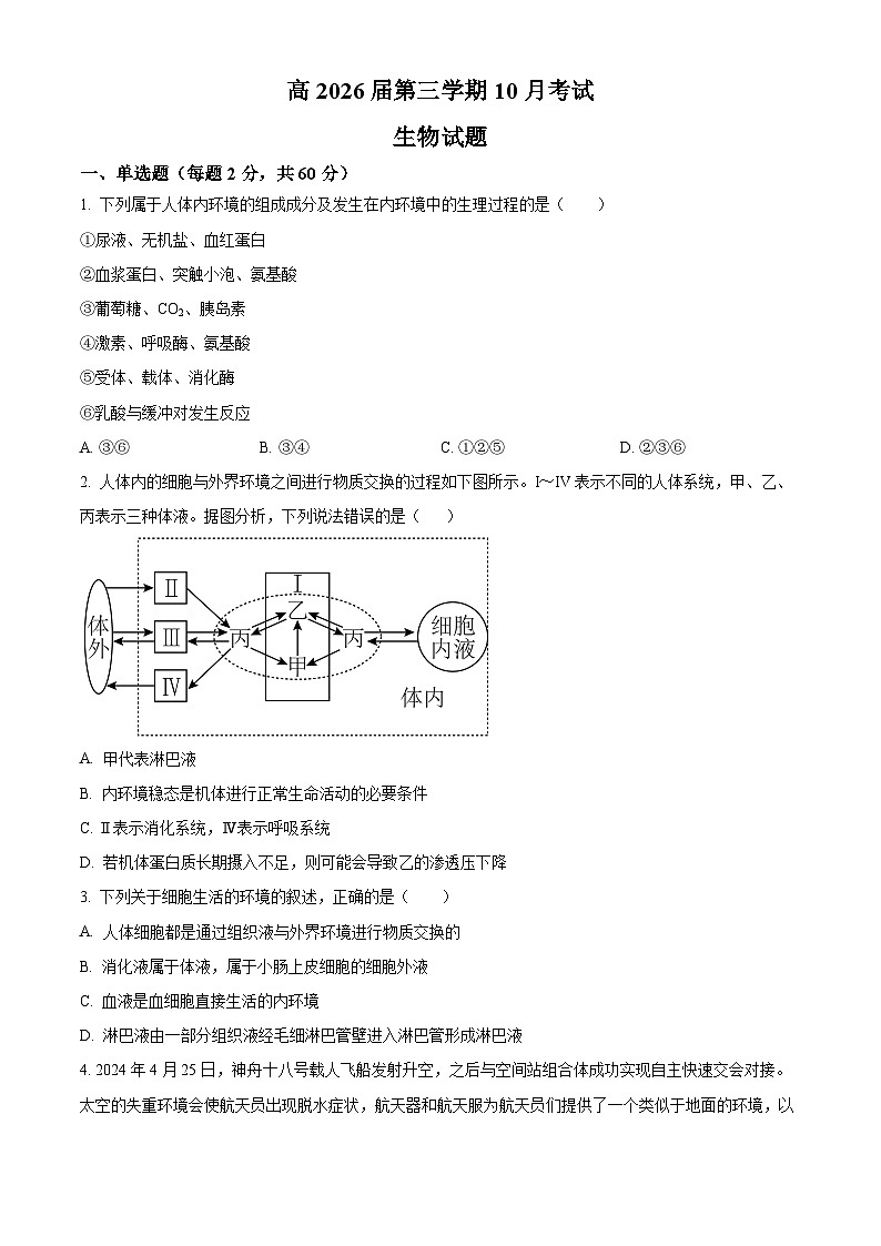 四川省自贡市第一中学2024-2025学年高二上学期10月月考生物试题 Word版无答案第1页