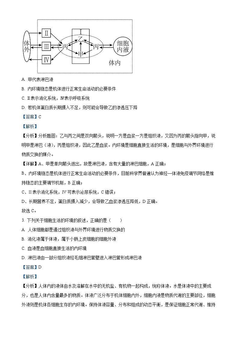 四川省自贡市第一中学2024-2025学年高二上学期10月月考生物试题 Word版含解析第2页