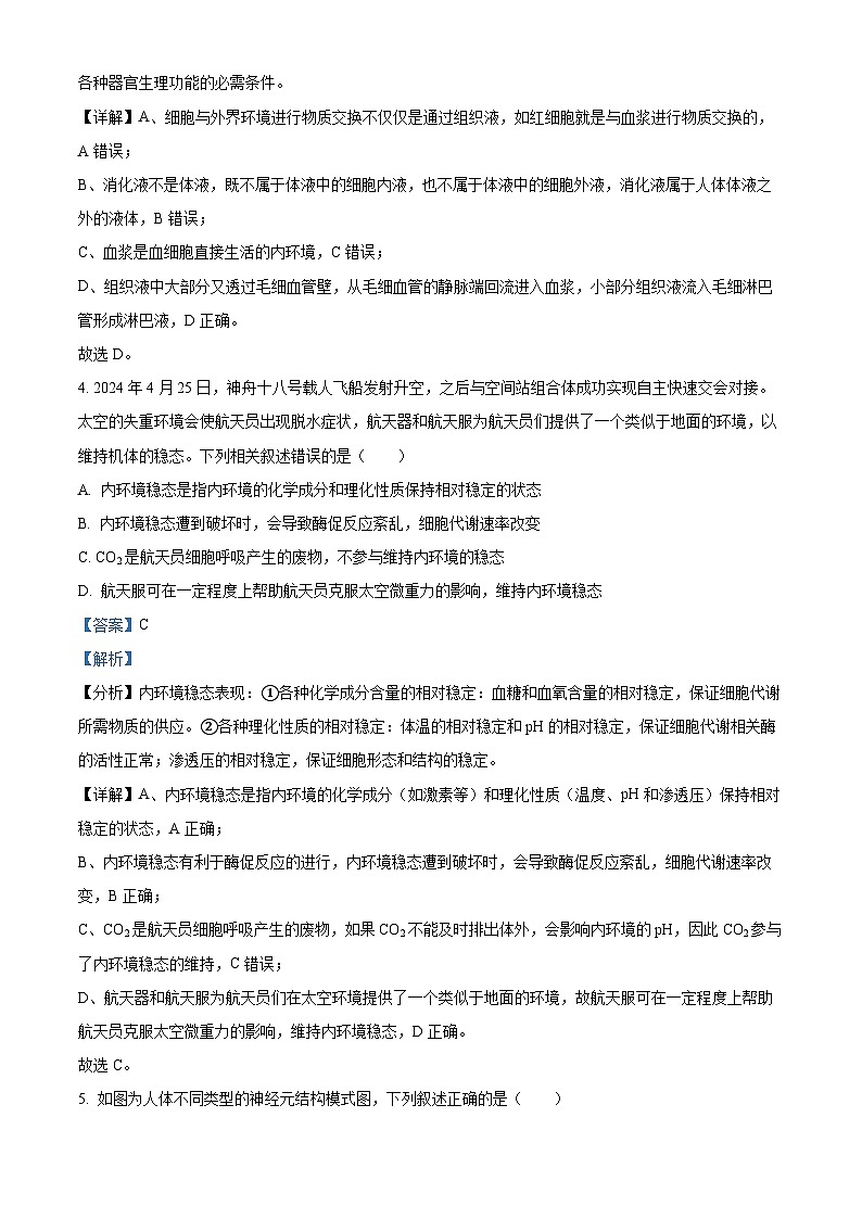 四川省自贡市第一中学2024-2025学年高二上学期10月月考生物试题 Word版含解析第3页