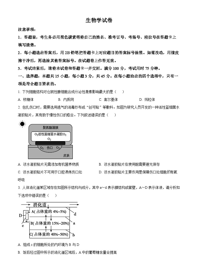 重庆市第八中学2024-2025学年高三上学期10月月考生物试卷(Word版附解析)01