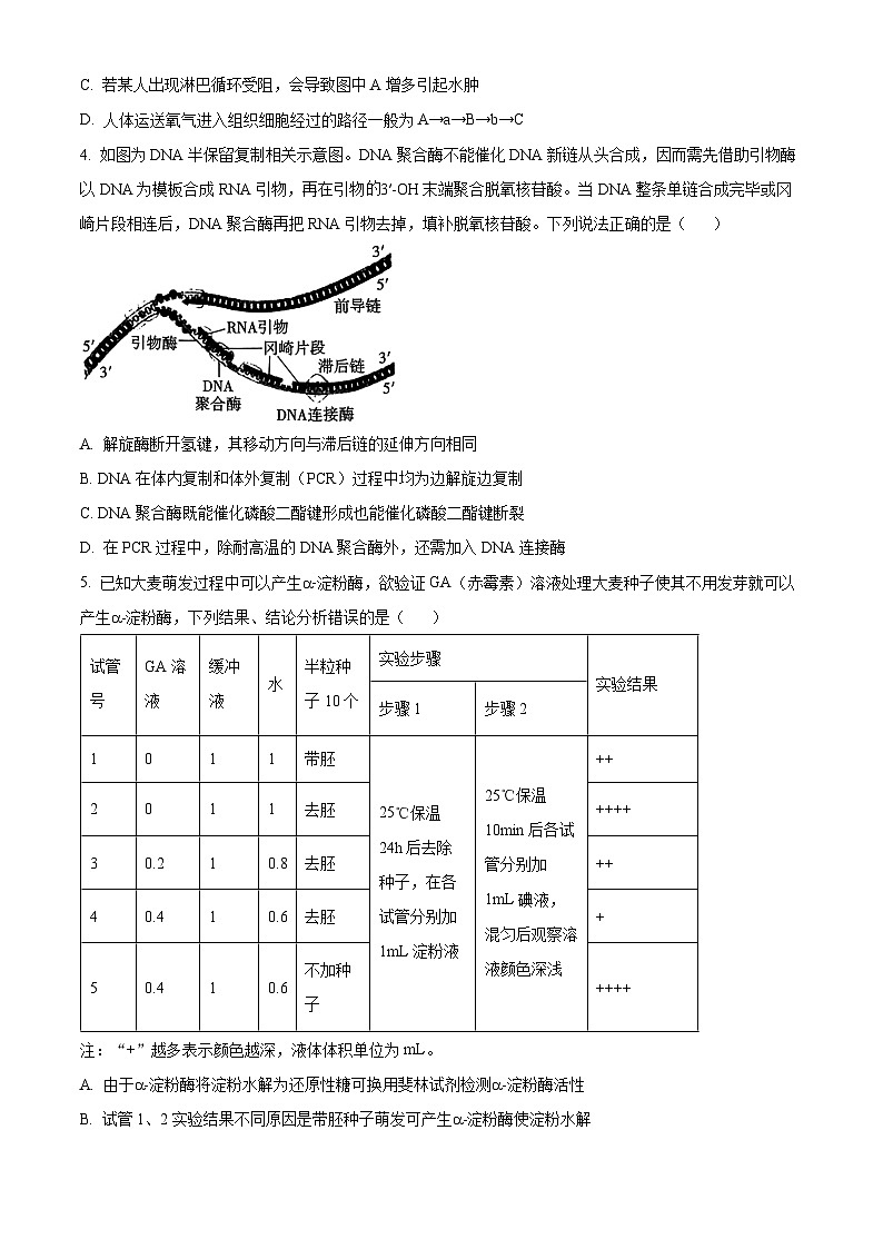 重庆市第八中学2024-2025学年高三上学期10月月考生物试卷(Word版附解析)02