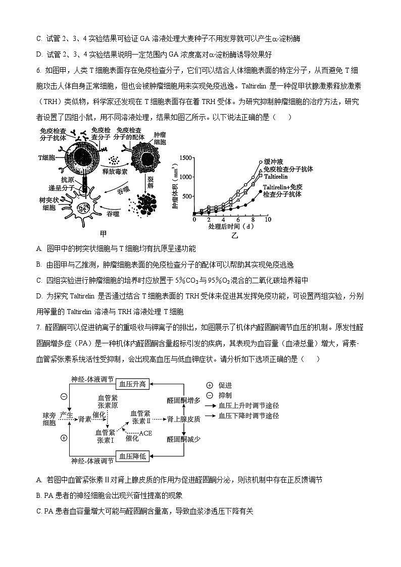 重庆市第八中学2024-2025学年高三上学期10月月考生物试卷(Word版附解析)03