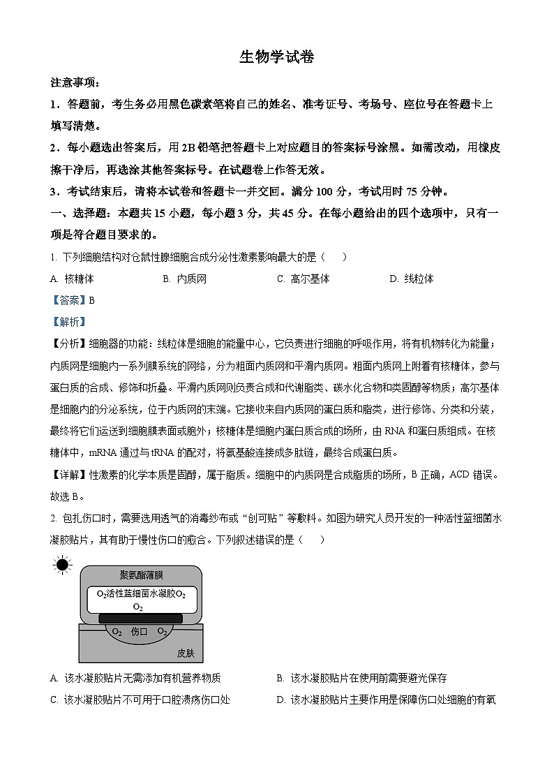 重庆市第八中学2024-2025学年高三上学期10月月考生物试卷(Word版附解析)01