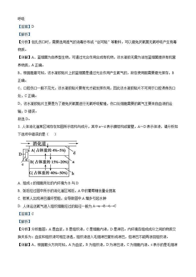重庆市第八中学2024-2025学年高三上学期10月月考生物试卷(Word版附解析)02