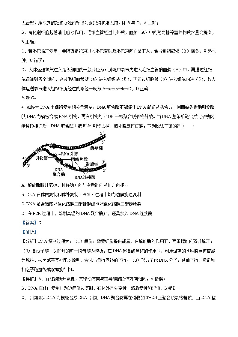 重庆市第八中学2024-2025学年高三上学期10月月考生物试卷(Word版附解析)03