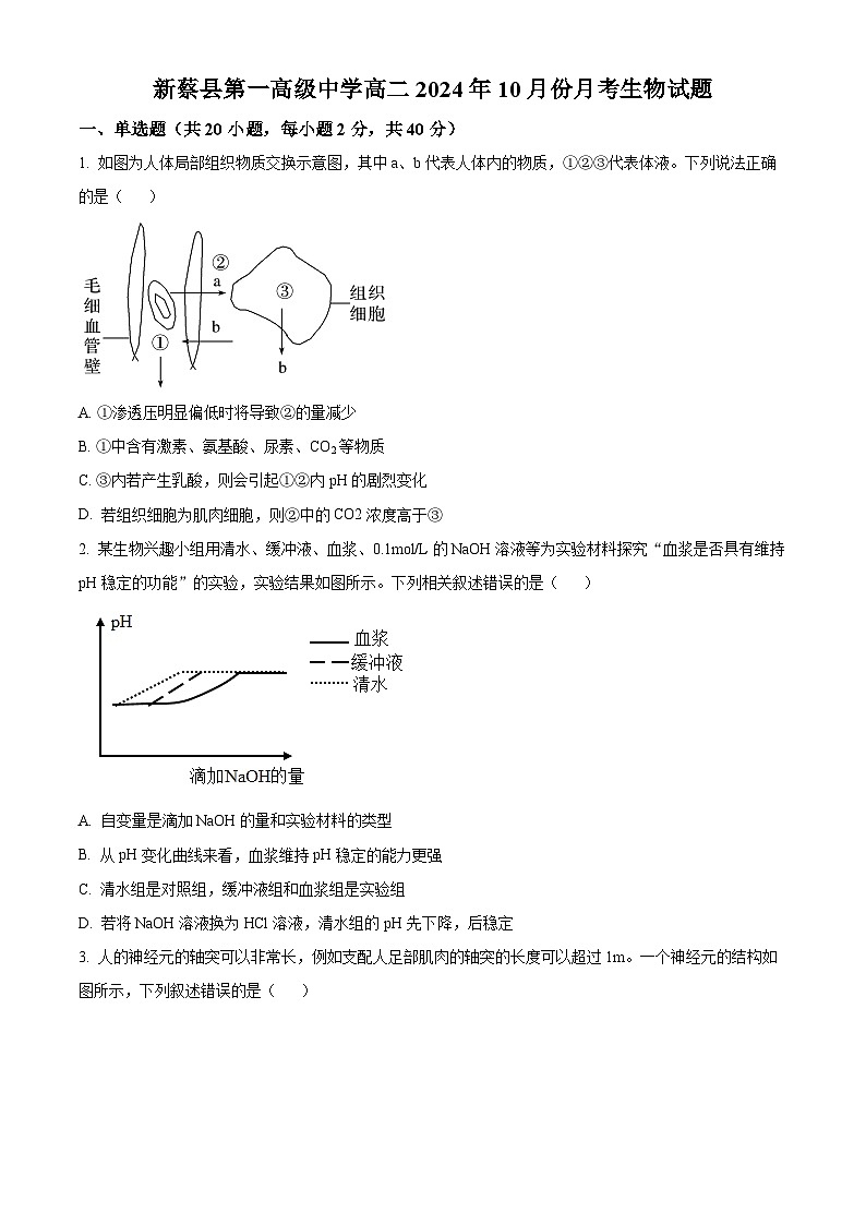 河南省驻马店市新蔡县第一高级中学2024-2025学年高二上学期10月月考生物试题第1页