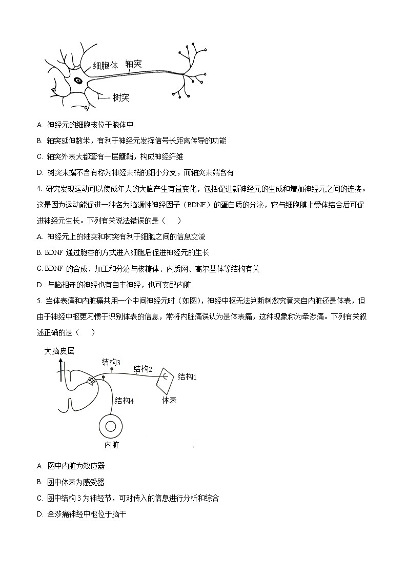 河南省驻马店市新蔡县第一高级中学2024-2025学年高二上学期10月月考生物试题第2页