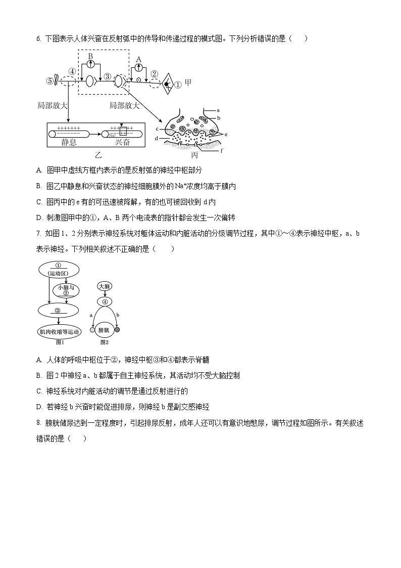 河南省驻马店市新蔡县第一高级中学2024-2025学年高二上学期10月月考生物试题第3页