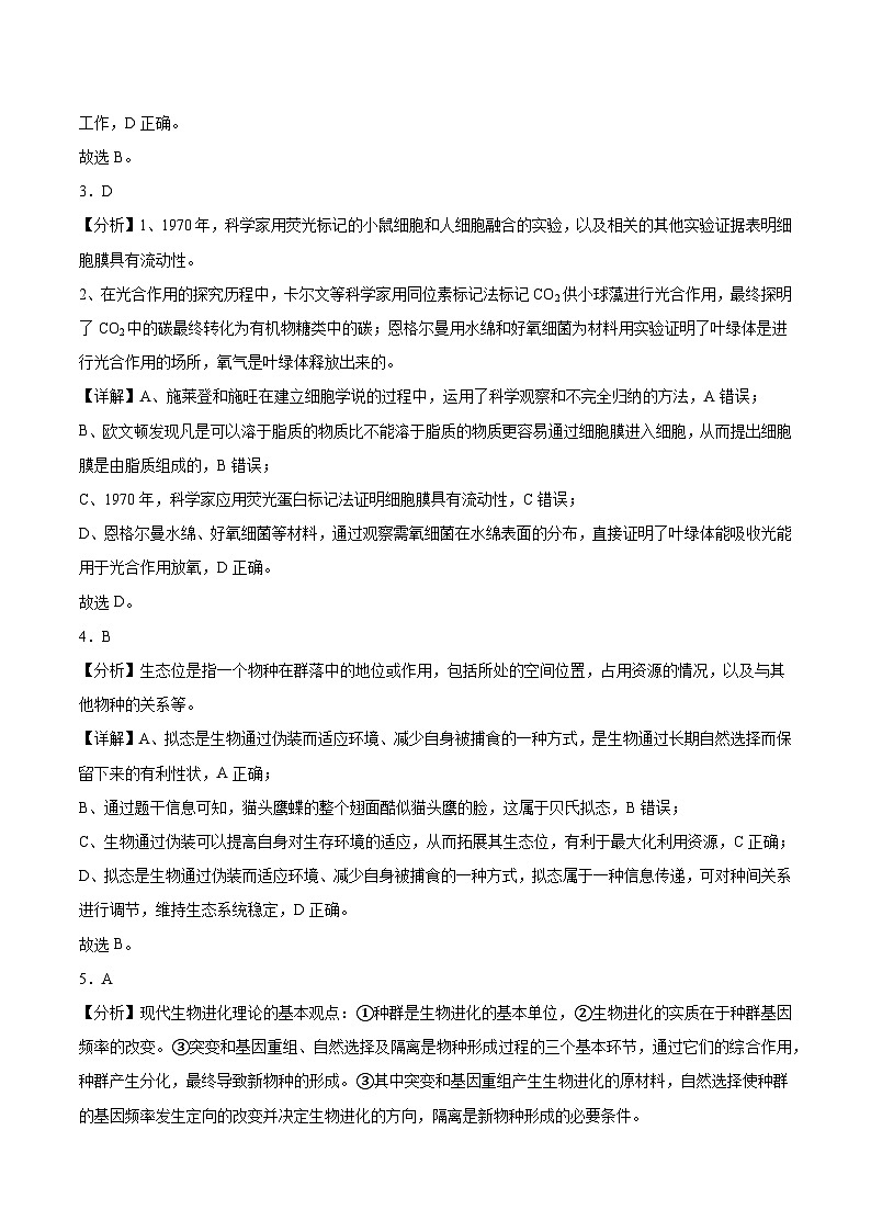 广东省东莞市东莞市海德双语学校2024-2025学年高三上学期10月期中生物试题02
