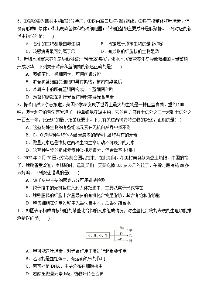 内蒙古赤峰二中2024-2025学年高一上学期第一次月考生物试卷(Word版附答案)第2页
