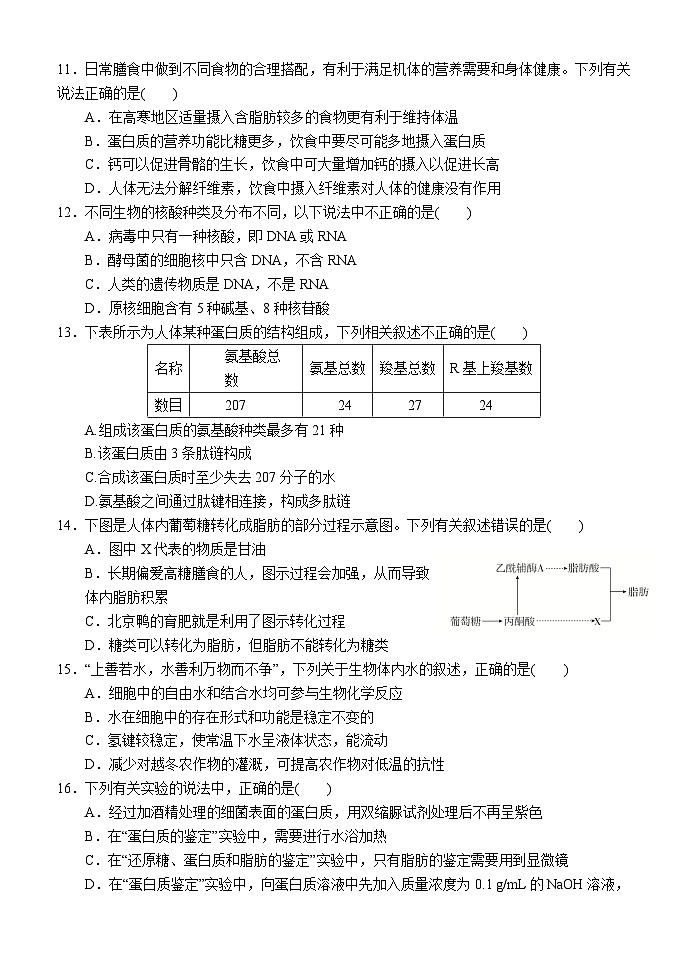 内蒙古赤峰二中2024-2025学年高一上学期第一次月考生物试卷(Word版附答案)第3页