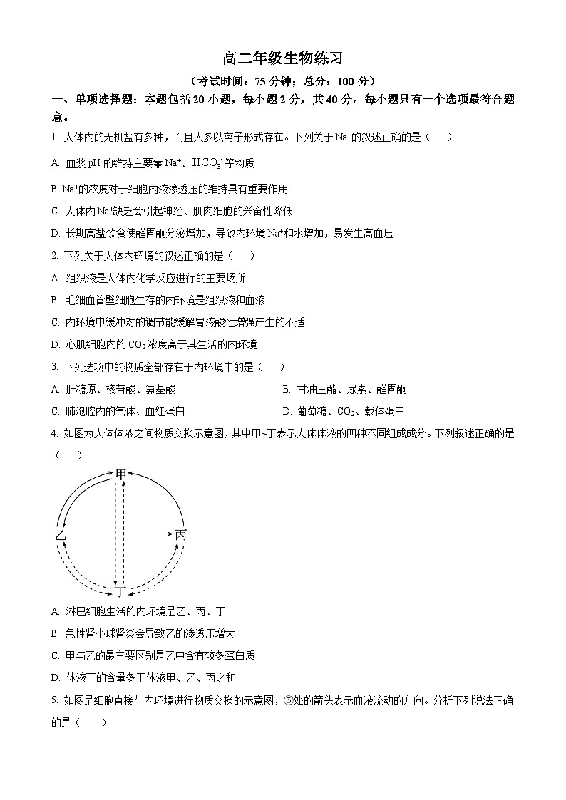 江苏省泰州中学2024-2025学年高二上学期10月月考生物试卷(Word版附答案)第1页