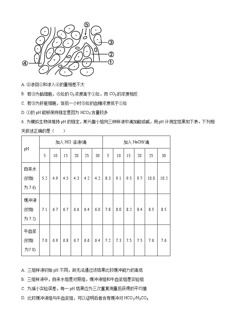 江苏省泰州中学2024-2025学年高二上学期10月月考生物试卷(Word版附答案)第2页