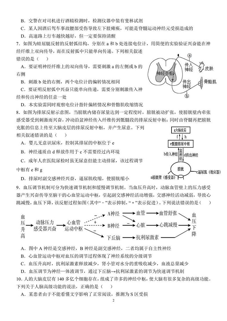 山东省济南市第一中学2024-2025学年高二上学期10月学情检测生物试卷(PDF版附答案)第2页