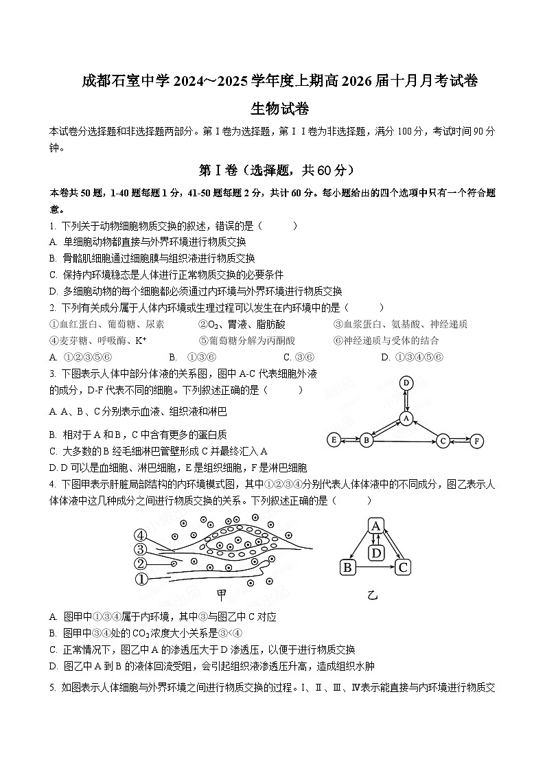 四川省成都市石室中学2024-2025学年高二上学期10月月考生物试卷(Word版附答案)第1页