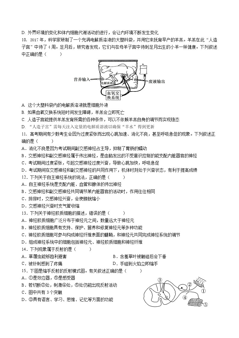 四川省成都市石室中学2024-2025学年高二上学期10月月考生物试卷(Word版附答案)第3页
