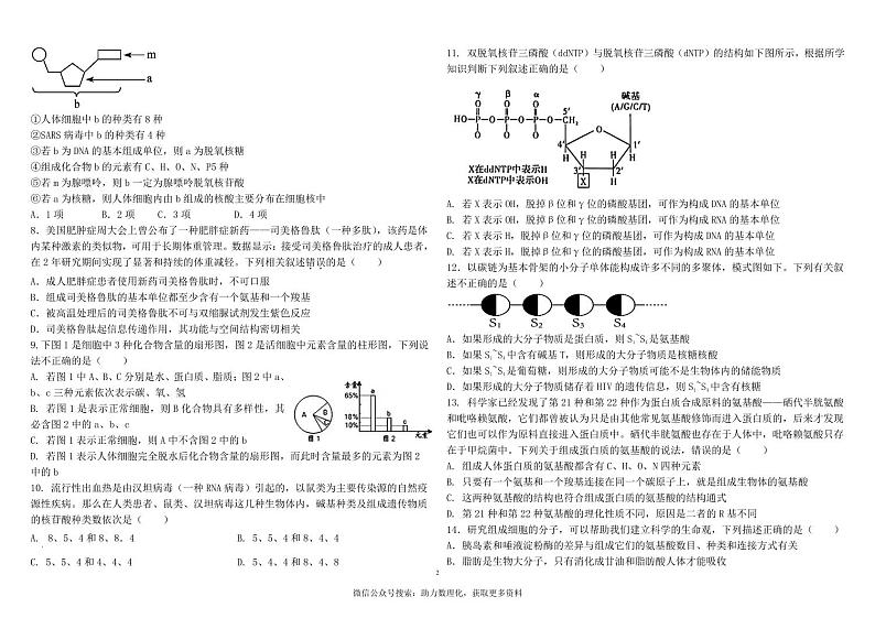 河南郑州市第四中学2024-2025学年高一上学期第一次月考生物试卷02