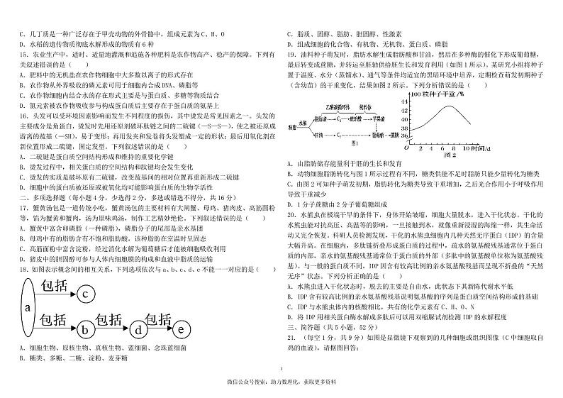 河南郑州市第四中学2024-2025学年高一上学期第一次月考生物试卷03