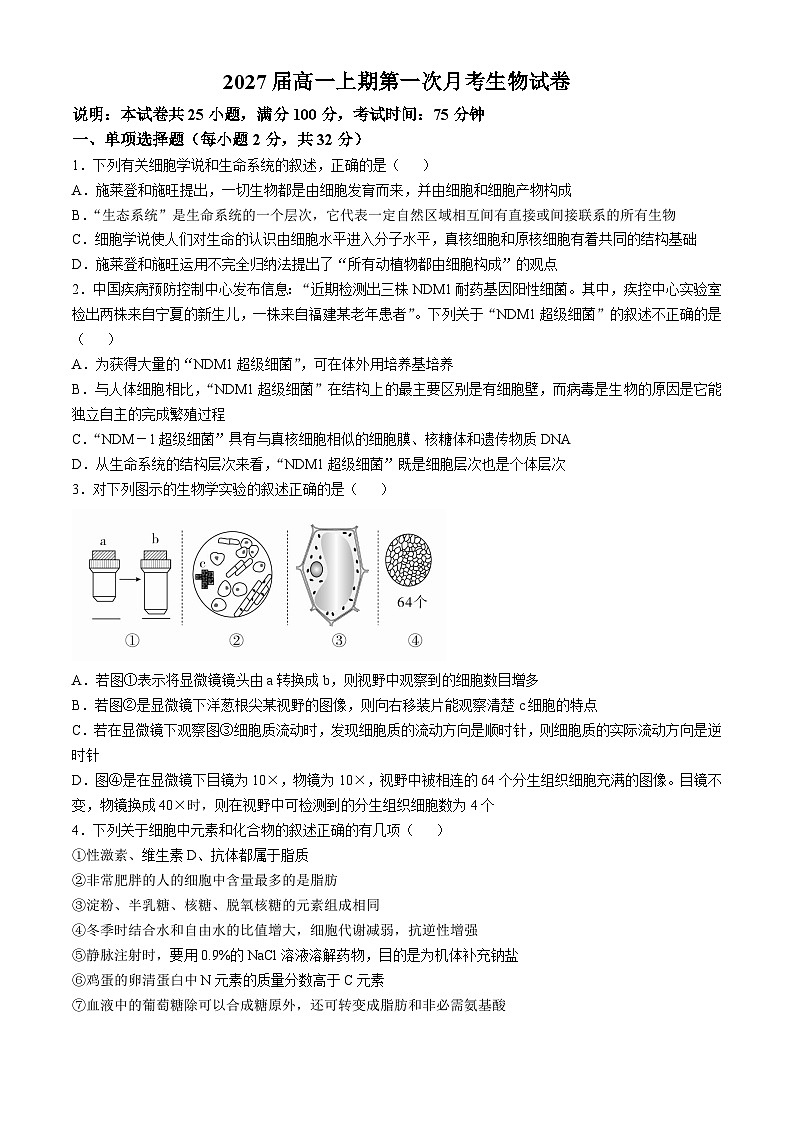 河南郑州市第四中学2024-2025学年高一上学期第一次月考生物试卷第1页