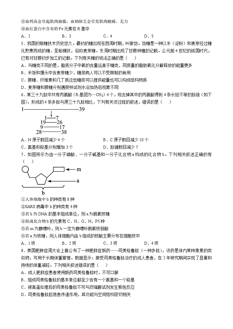 河南郑州市第四中学2024-2025学年高一上学期第一次月考生物试卷第2页